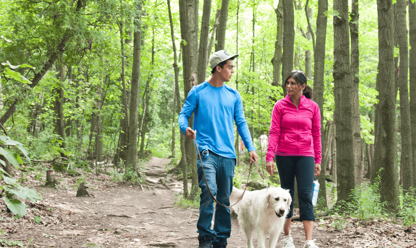 Hiking Trails in Burlington, Ontario | Tourism Burlington