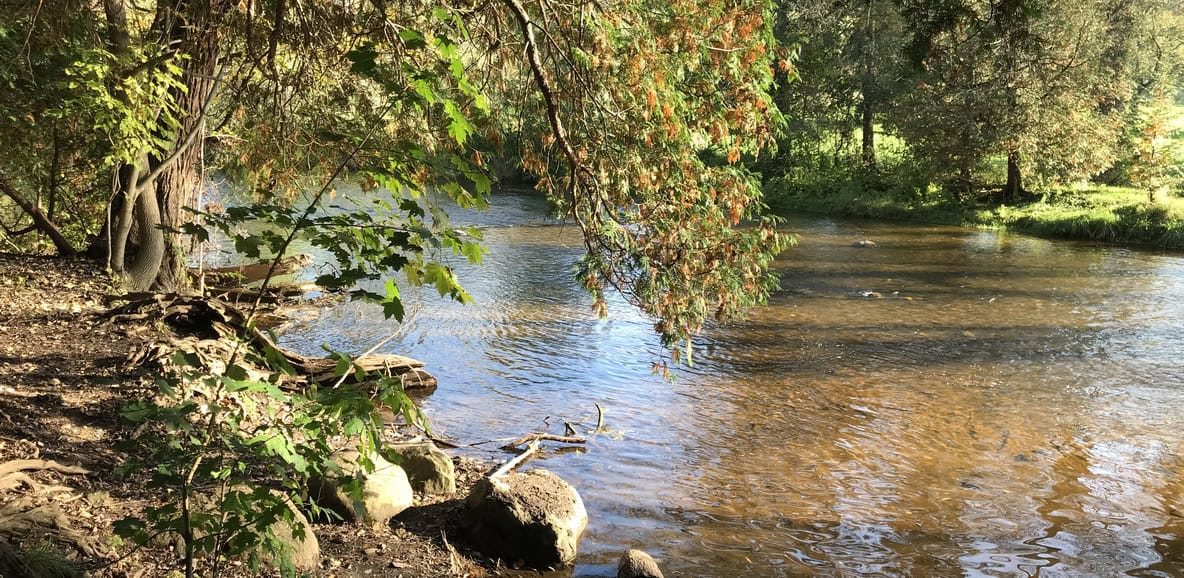 Bronte Creek in fall