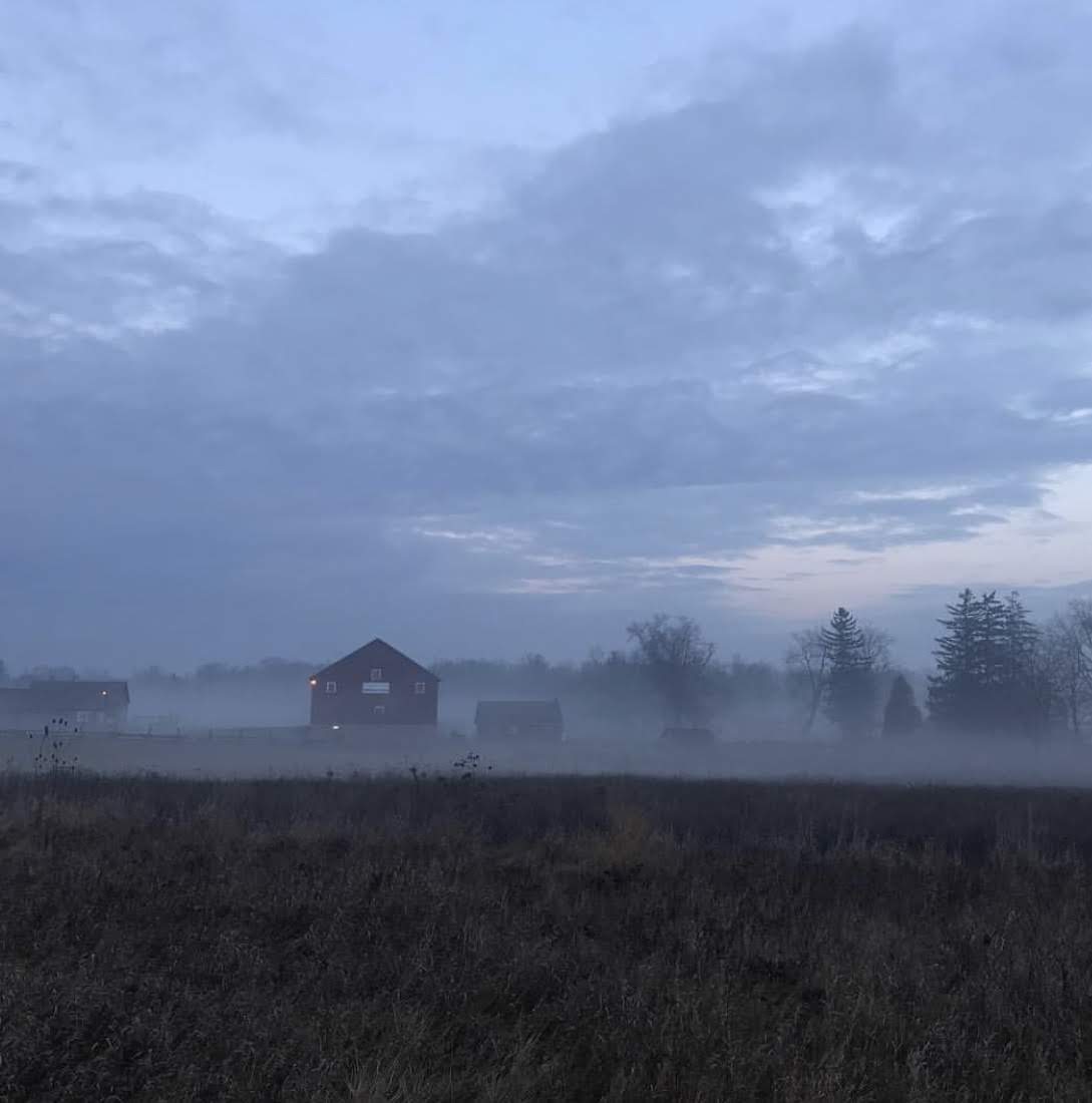 Mist floating over field at Bronte Creek