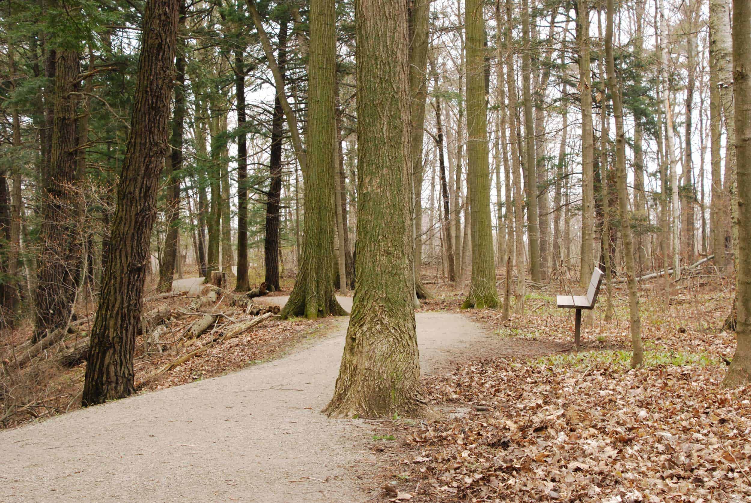 Fall along Bronte Creek Trail