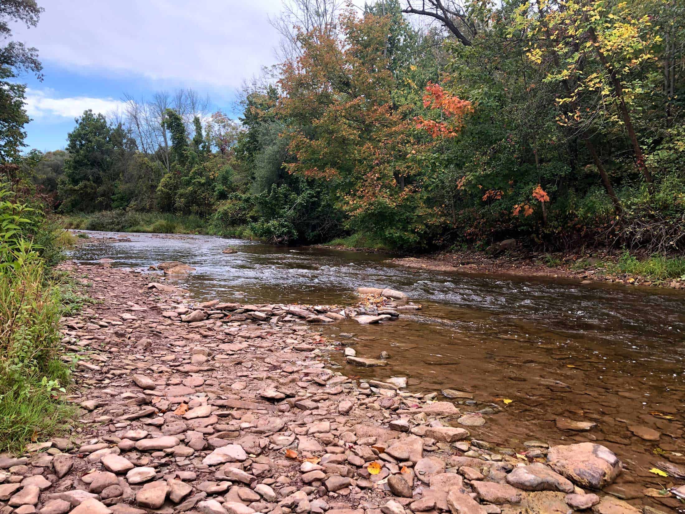 Fall colours along Bronte Creek