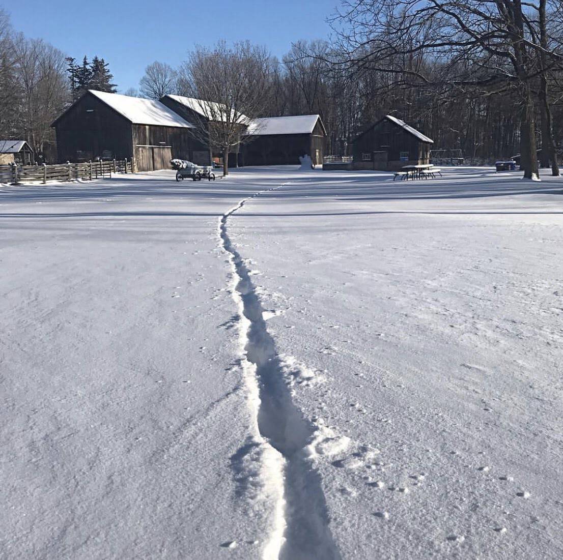 Bronte Creek Ski Trail