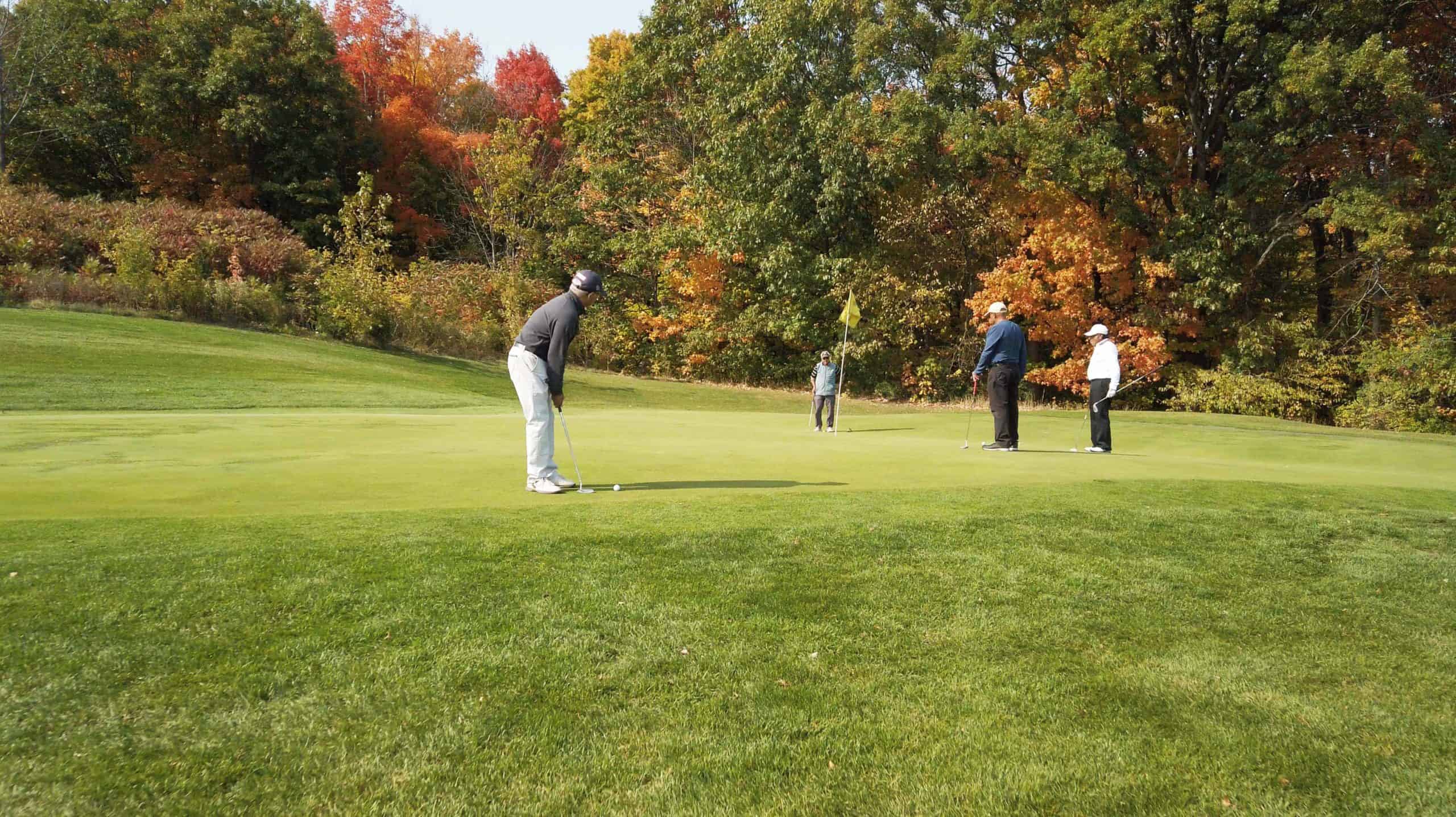 Golfers putting on green at Tyandaga Golf Course