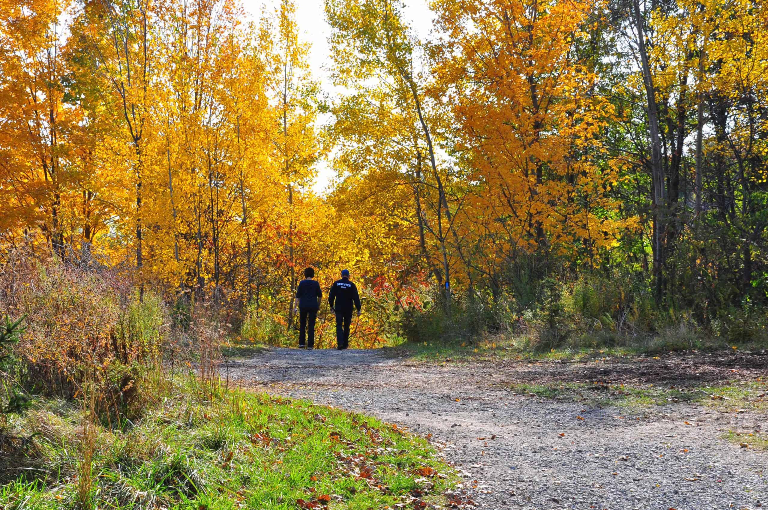 Kerncliff Park fall walk
