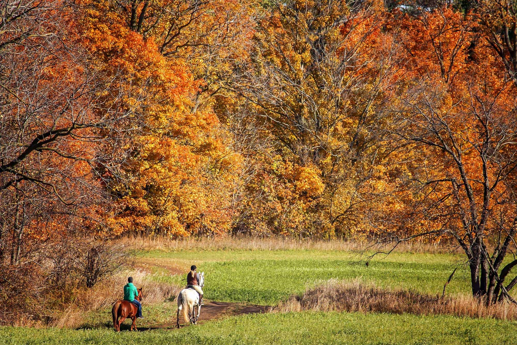 Two people on horseback with fall colours in background