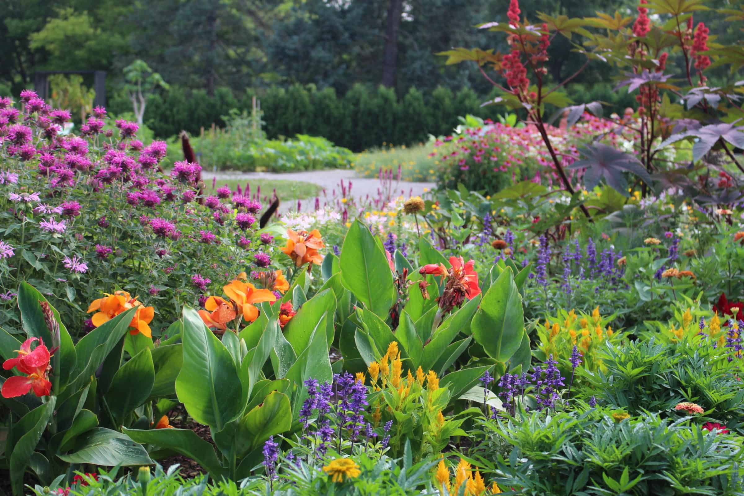 Various flowers in bloom at Hendrie Garden at RBG