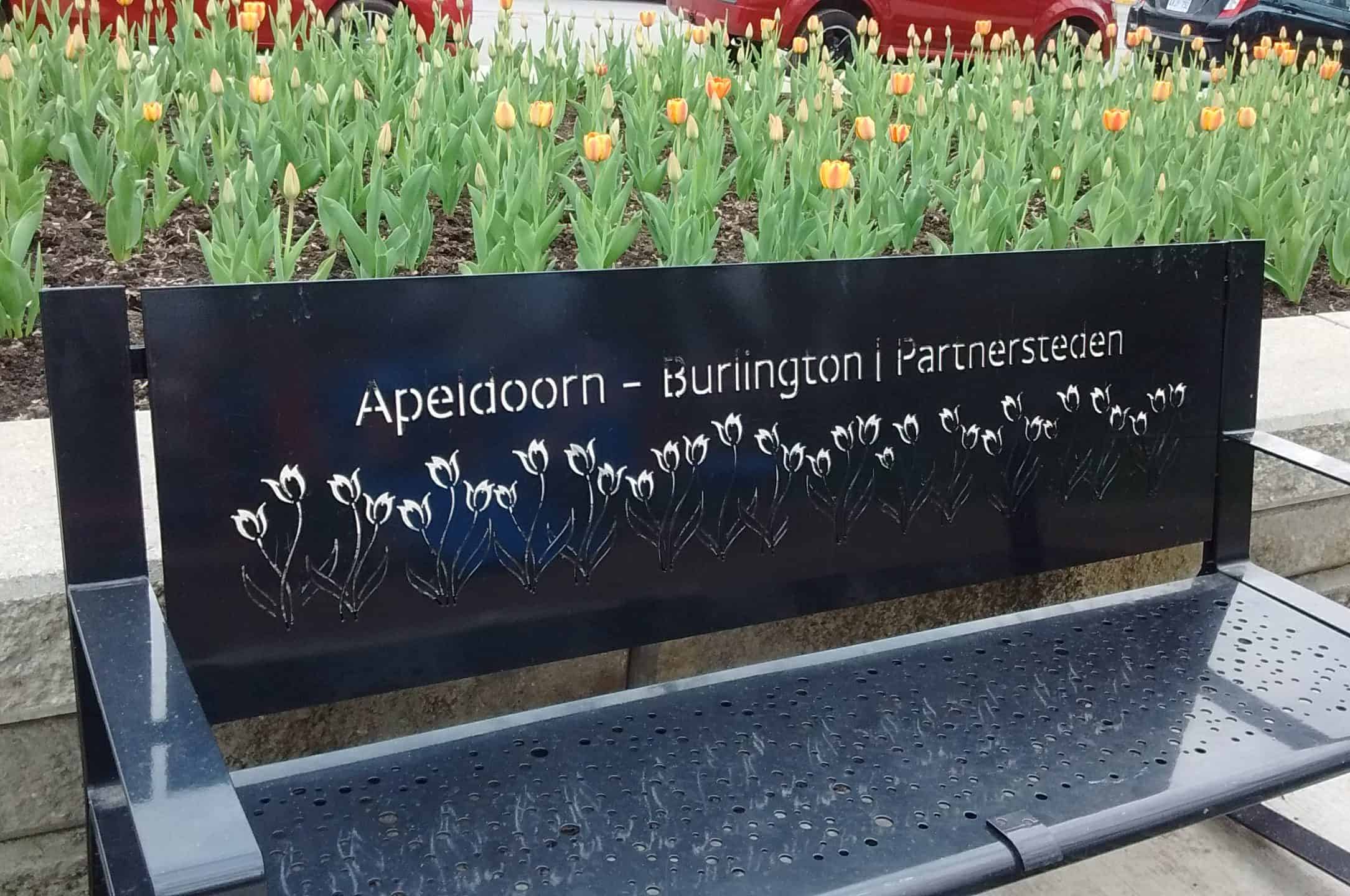 #BurlON Celebrates Twinning with Itabashi & Apeldoorn