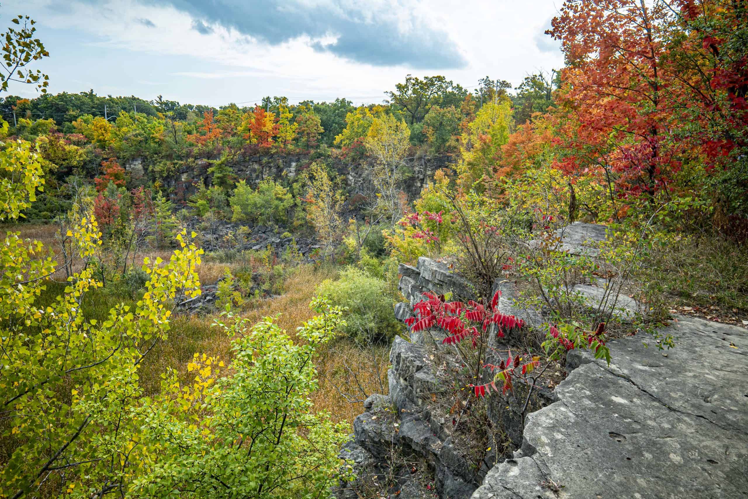 Escarpment