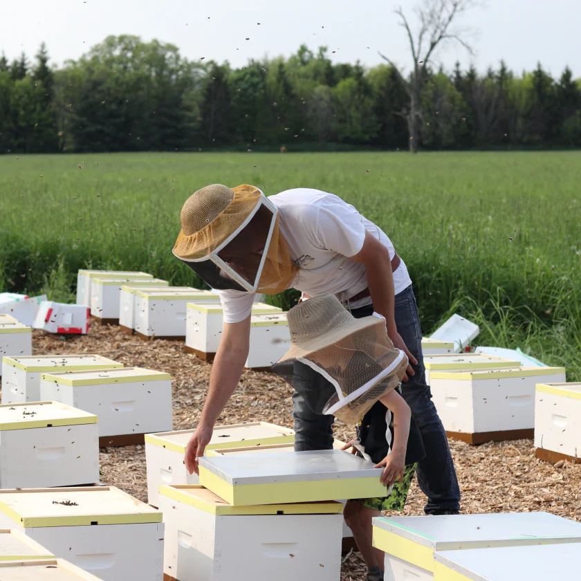 Backed by Bees