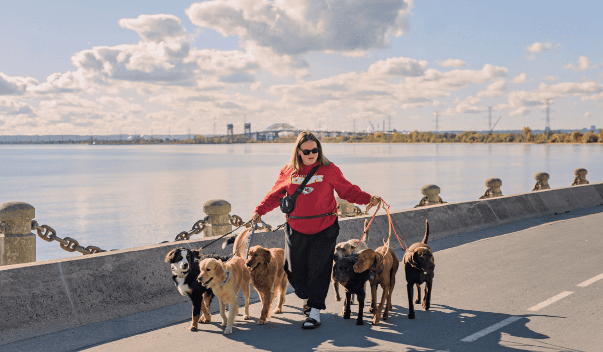 20+ Pet-Friendly Experiences in Burlington: Parks, Trails, Patios & More 
