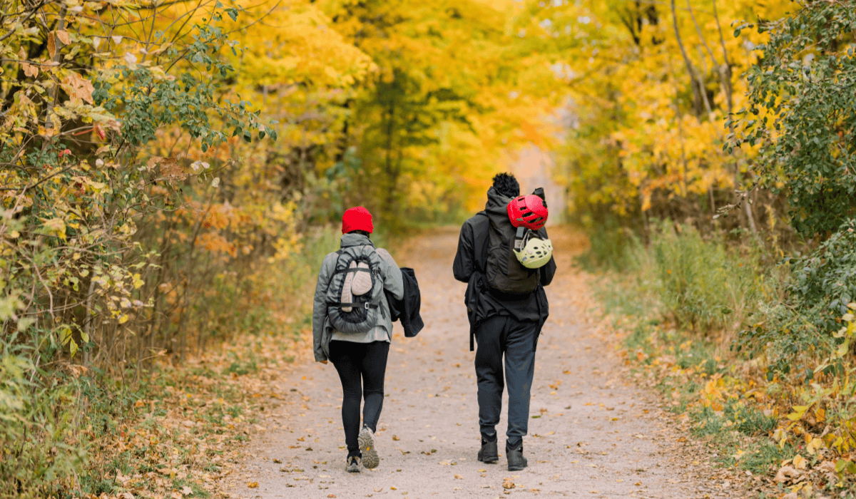 Best Fall Hiking Trails in Burlington: Scenic Walks & Escarpment Views 