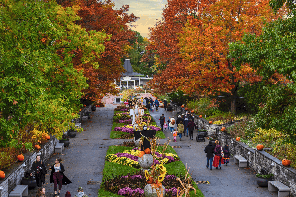 What’s Up in October: Top Burlington Events You Can’t Miss 
