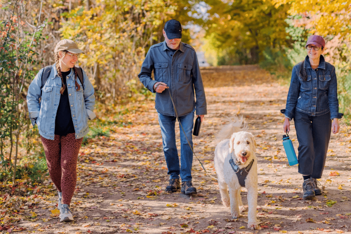 Thanksgiving Itinerary in Burlington: A Perfect Long Weekend Guide 
