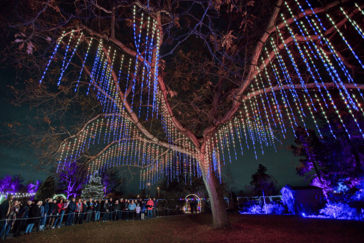 What’s Up in November: Top Burlington Events You Can’t Miss