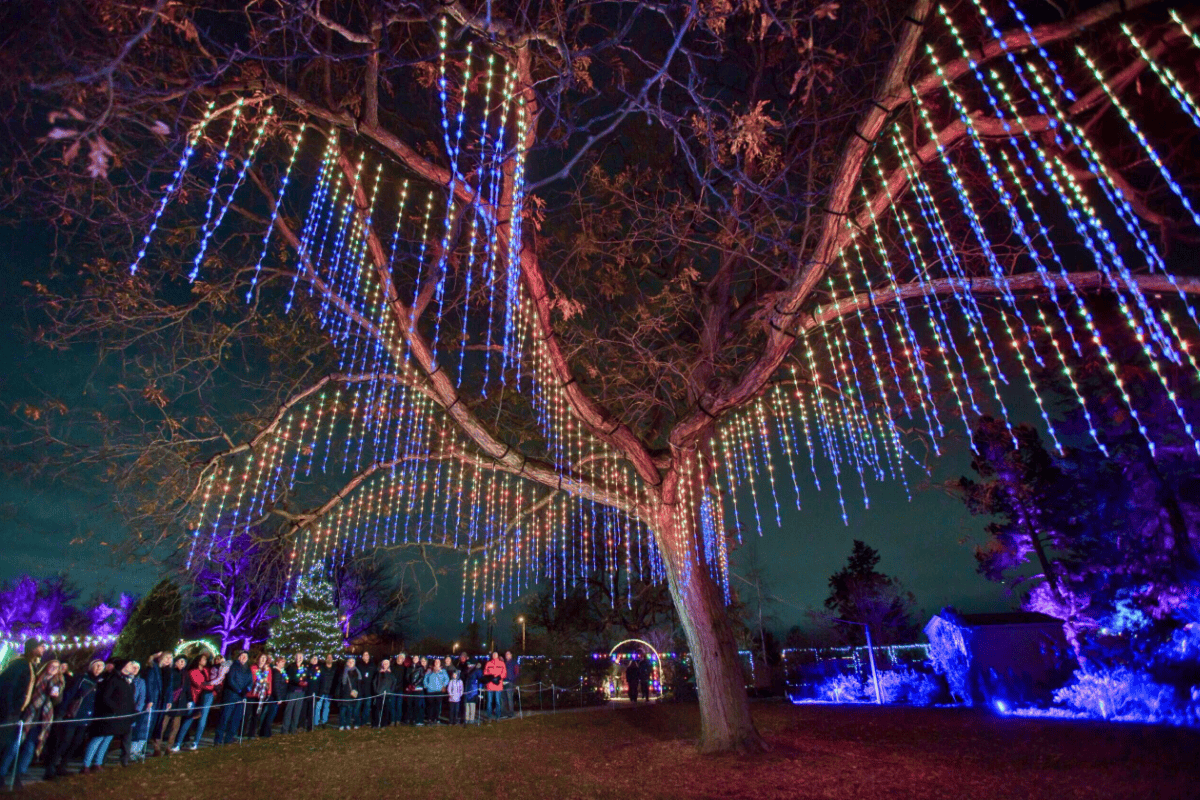 What's up in November