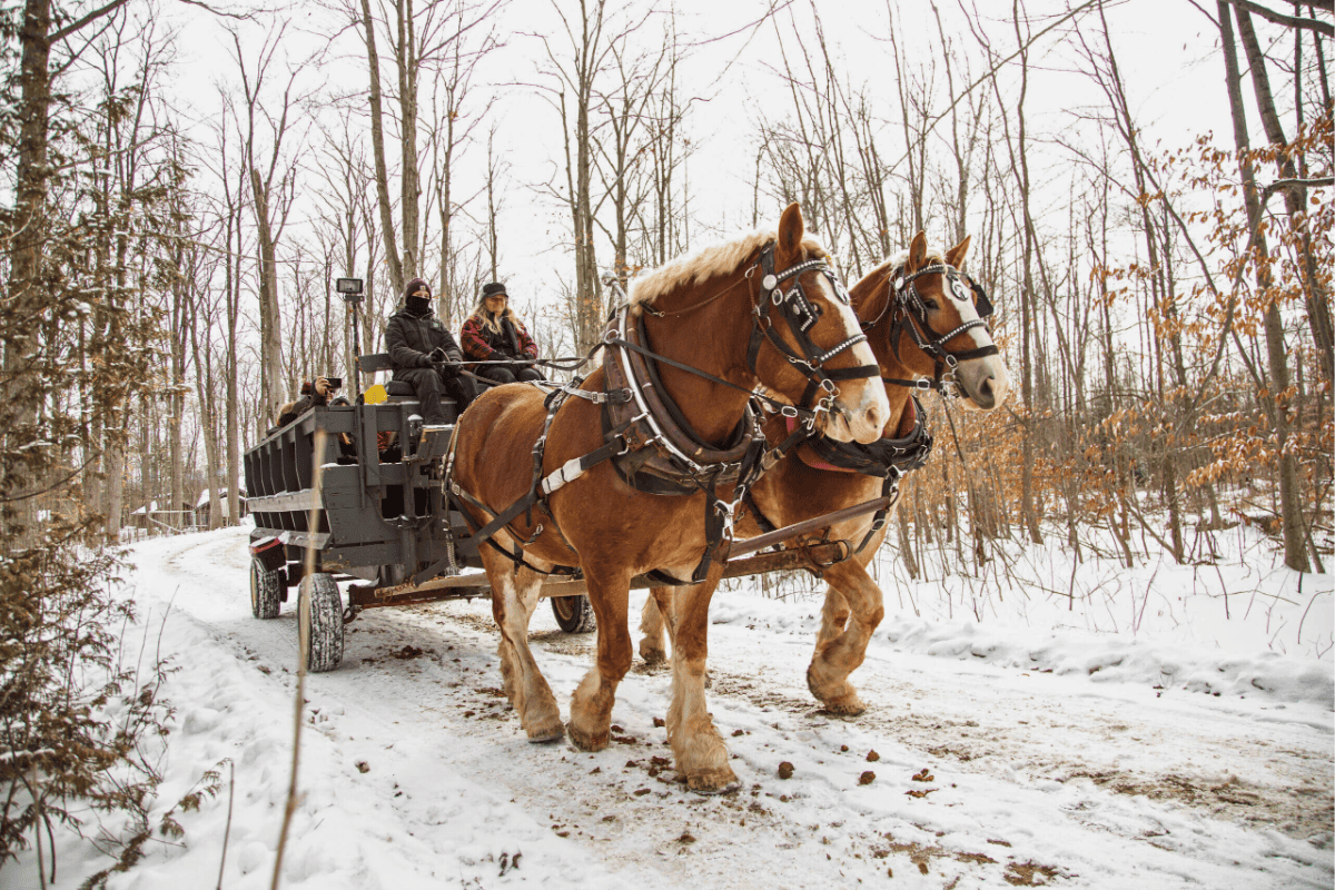 What’s Up in February: Top Burlington Events You Can’t Miss 