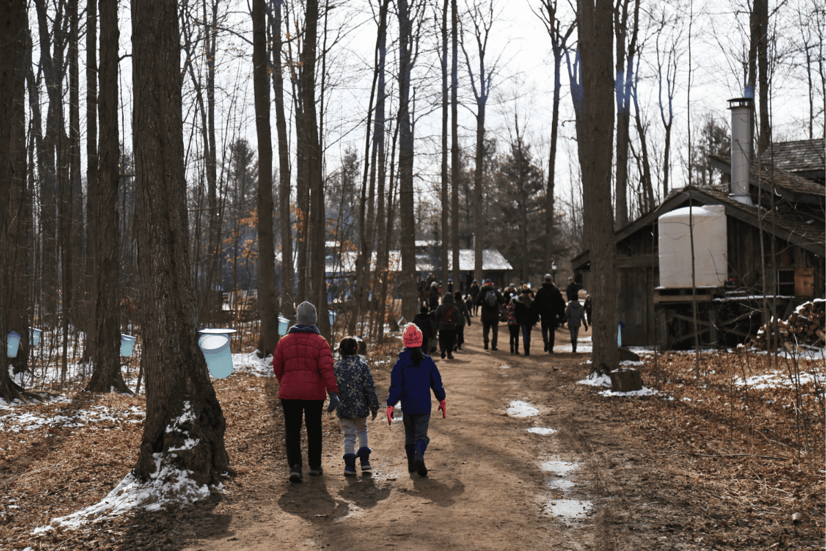 3 Ways to Experience Burlington This March Break 