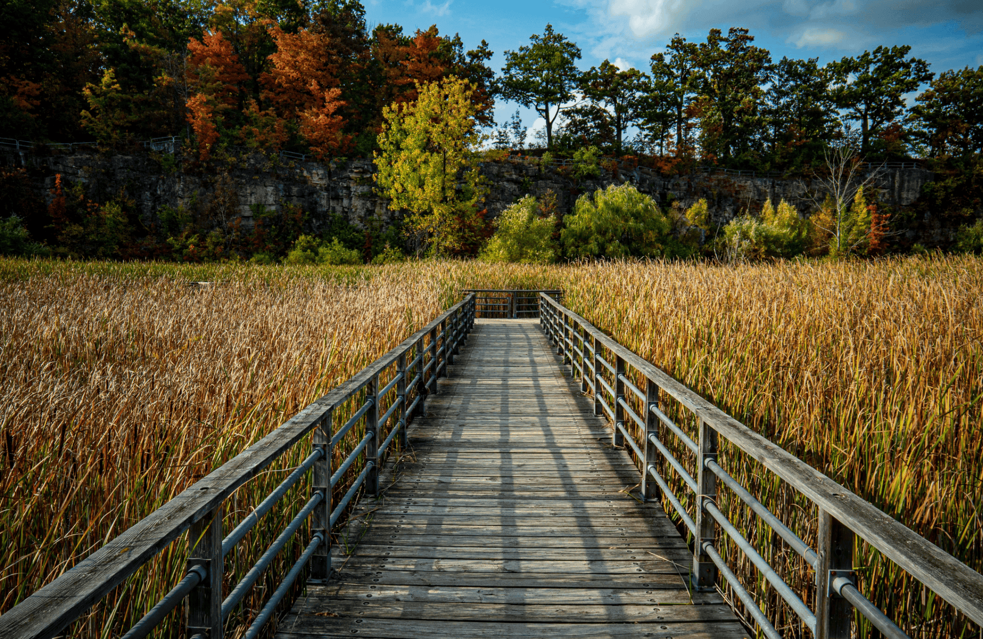 Nature Lover’s Day in Burlington: A Relaxing Itinerary Surrounded by Nature 