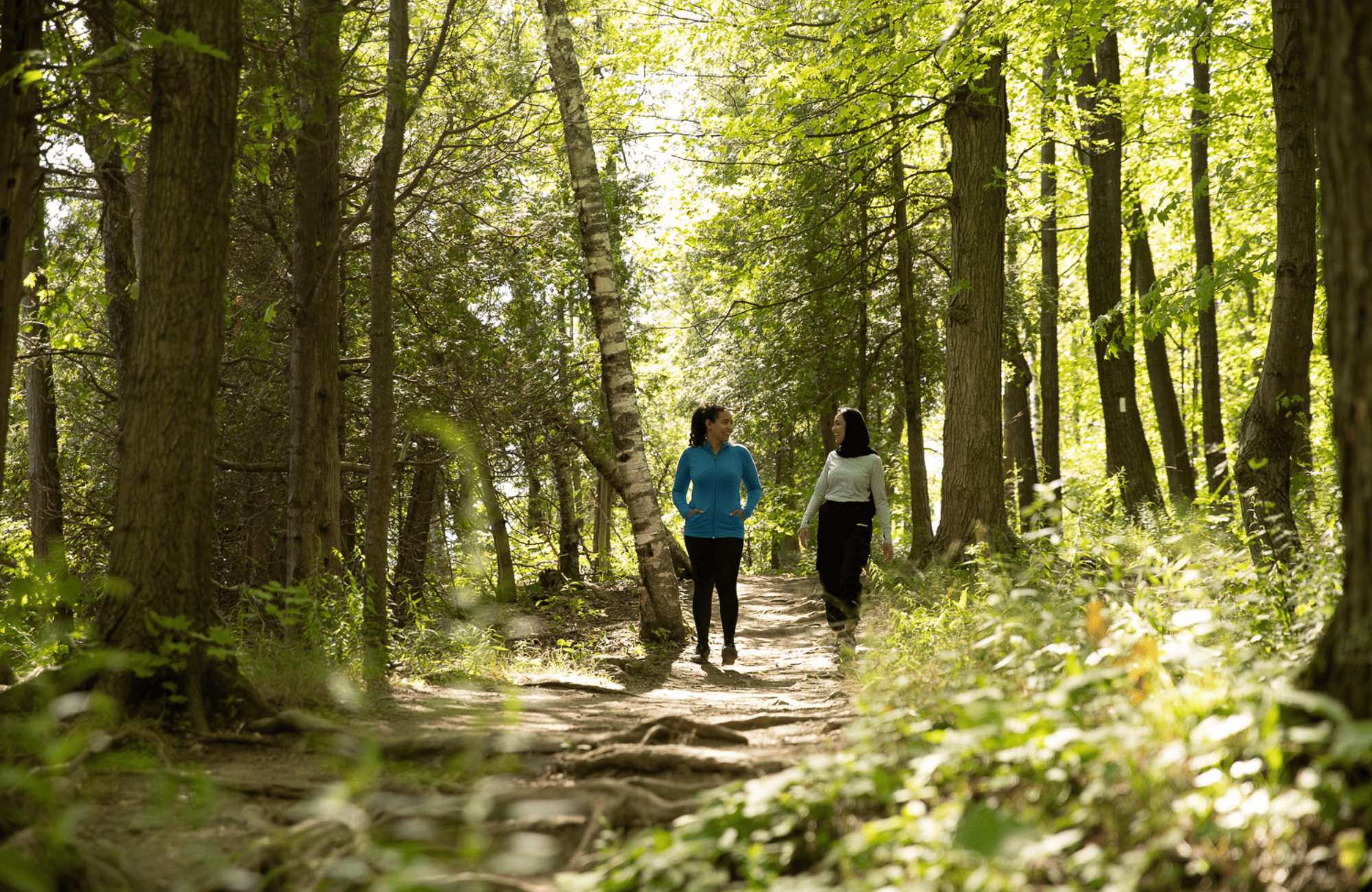 Beginner’s Guide to Geocaching in Burlington 