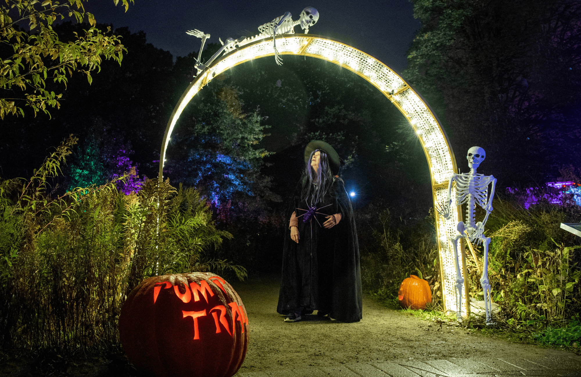 What’s Up in October: Top Burlington Events You Can’t Miss 