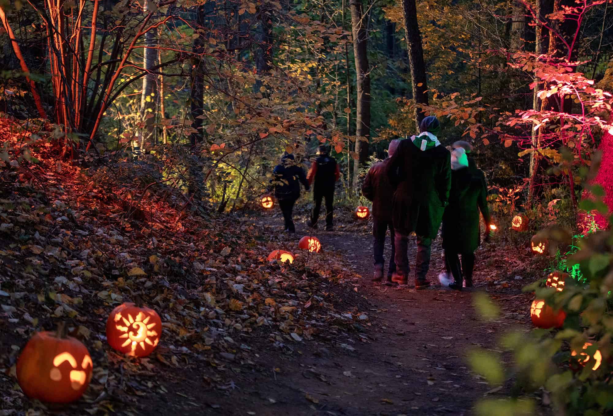 What’s Up in October: Top Burlington Events You Can’t Miss 