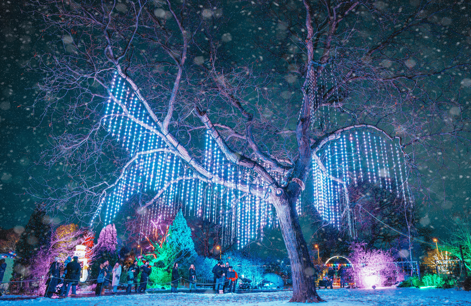What’s Up in November: Top Burlington Events You Can’t Miss 